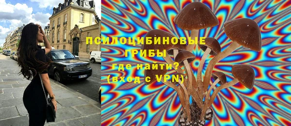 мдма Богородицк