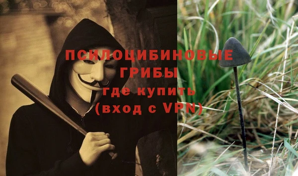 мдма Богородицк