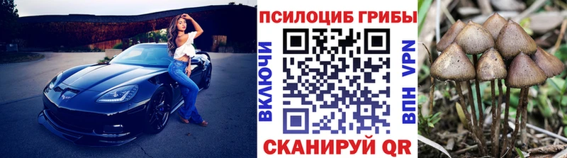 Галлюциногенные грибы Psilocybe  Наволоки 